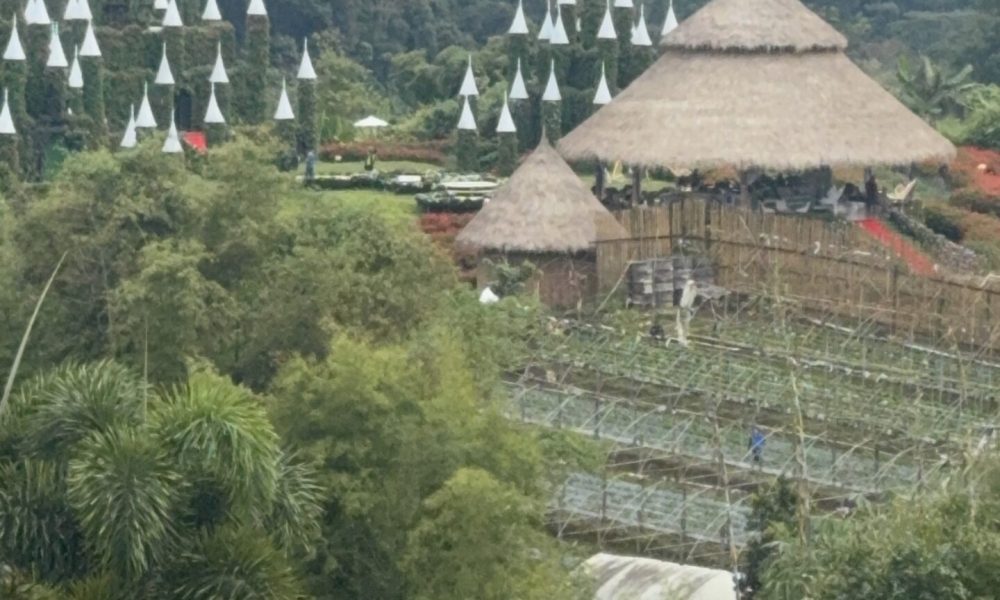 17D132B8-13EA-4E9E-9795-79B1CC3A528F