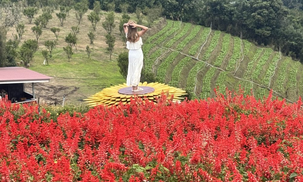 1BE38CEF-D4E5-4EB7-8339-C22820F5178D