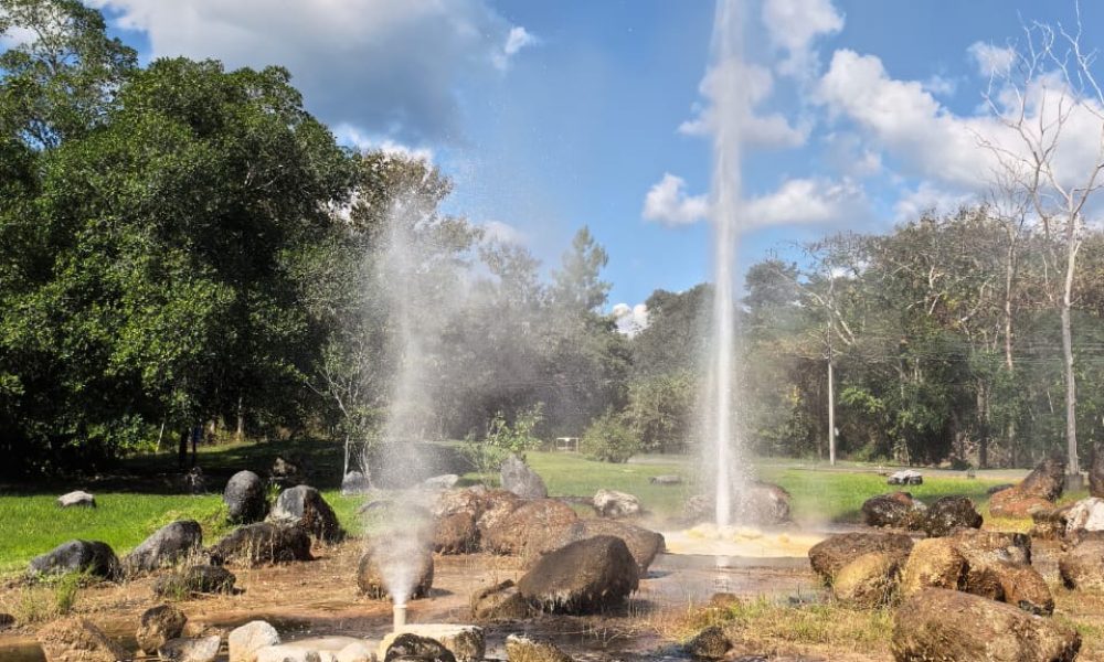 7AE5EB85-B195-45A7-A474-F6E3F322C8DB