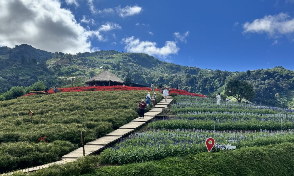 F90F0A08-DEB7-4C06-8CCE-FDF2D24A4E6D