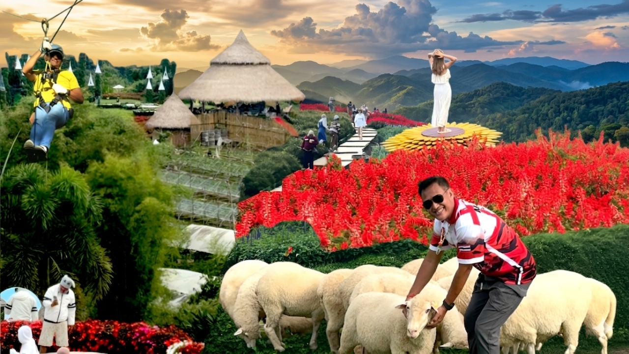 Gemini_Generated_Image_iul21ziul21ziul2