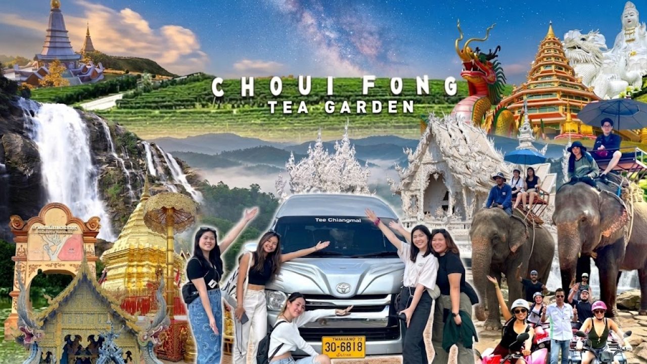 c0cedfef-e30b-4191-af9a-9737b65c02d6