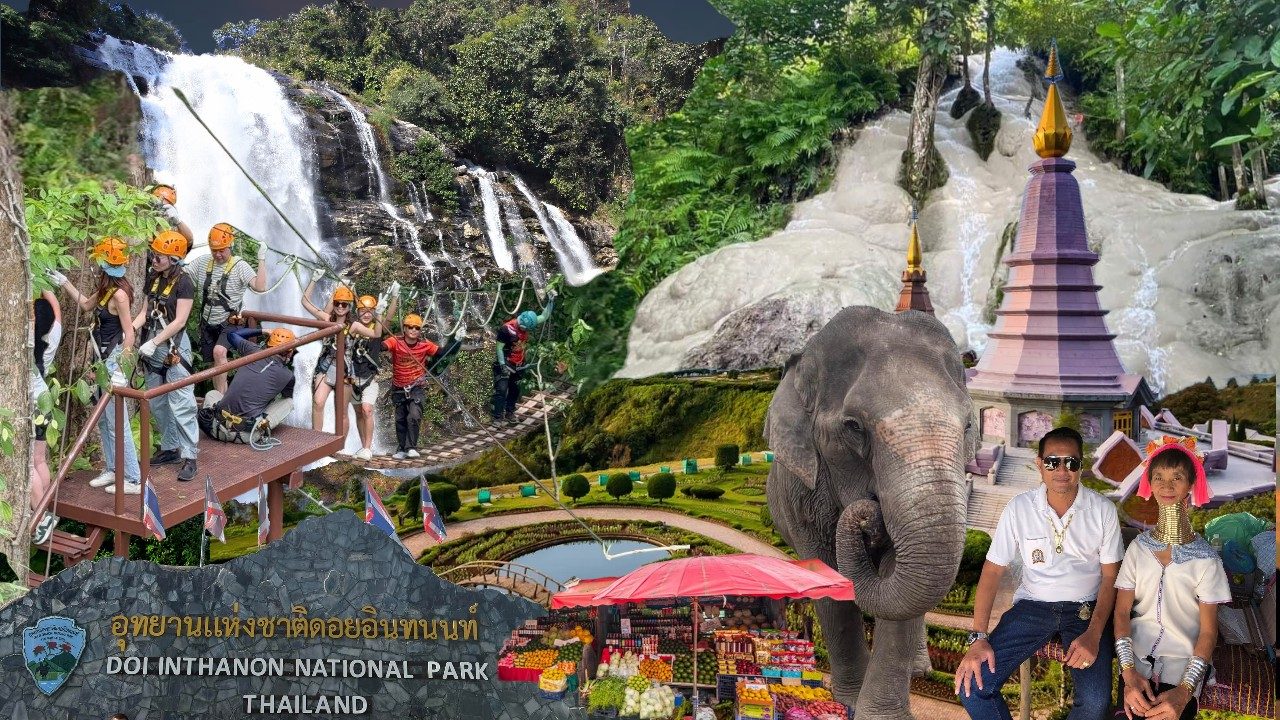 transparent-Photoroom (12)