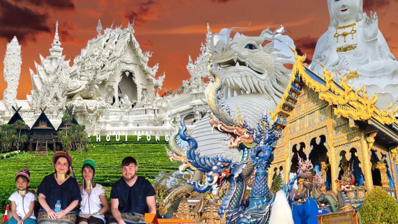 transparent-Photoroom (7)