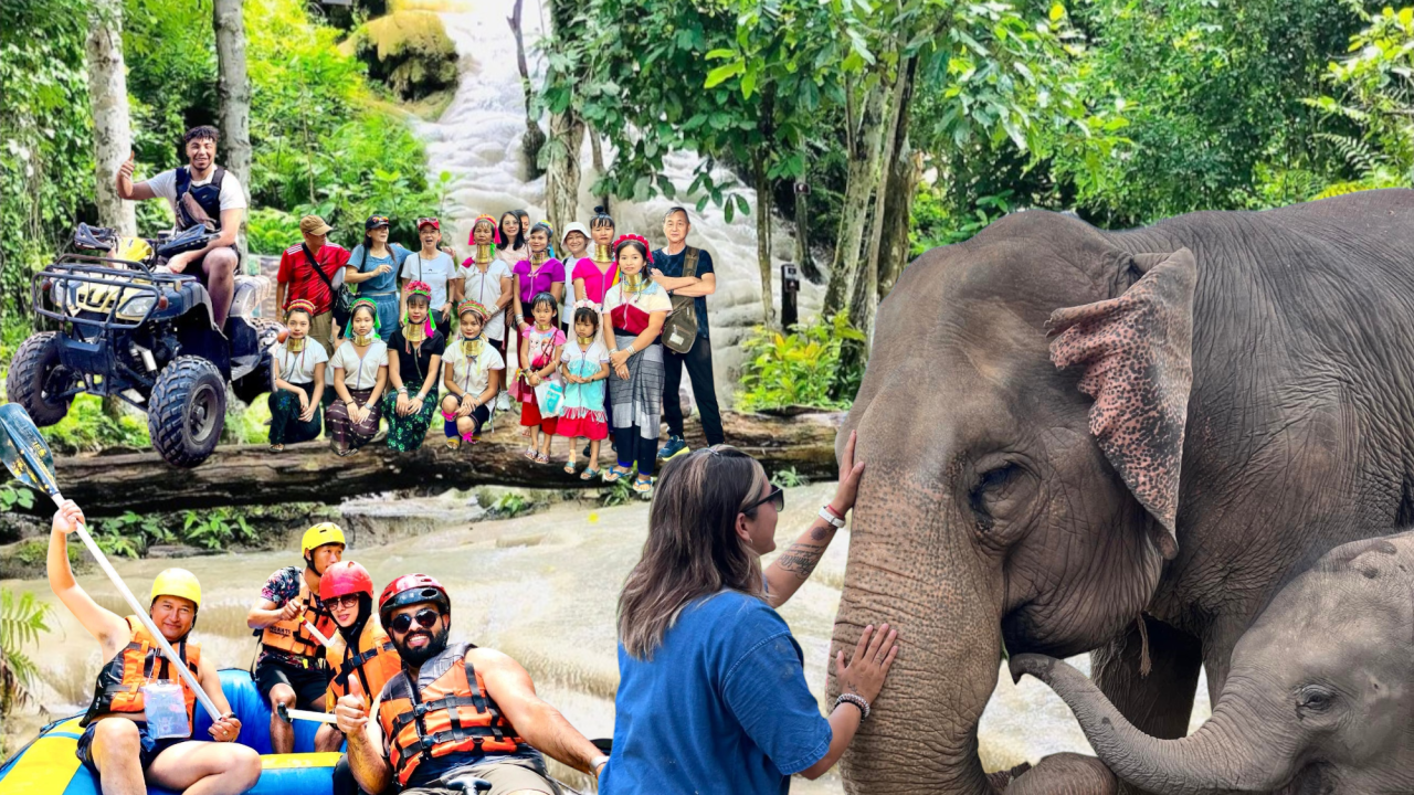 transparent-Photoroom (7)