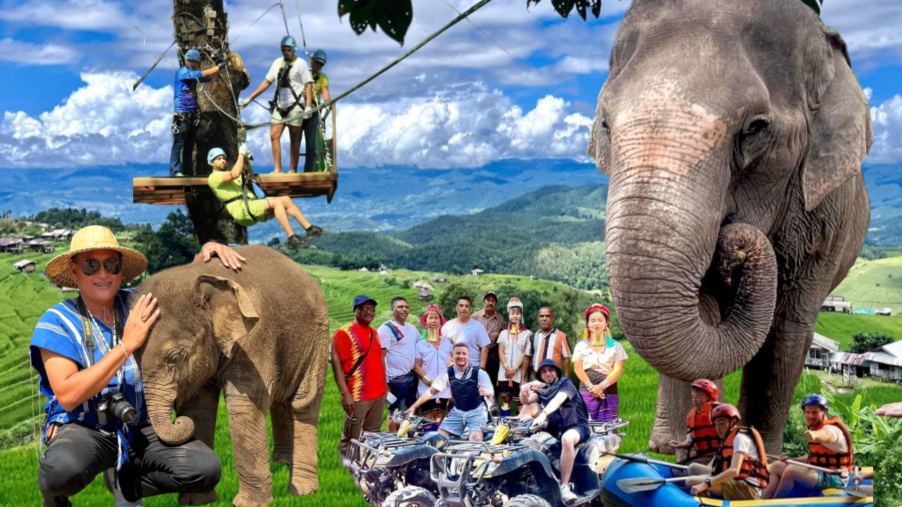 transparent-Photoroom (8)